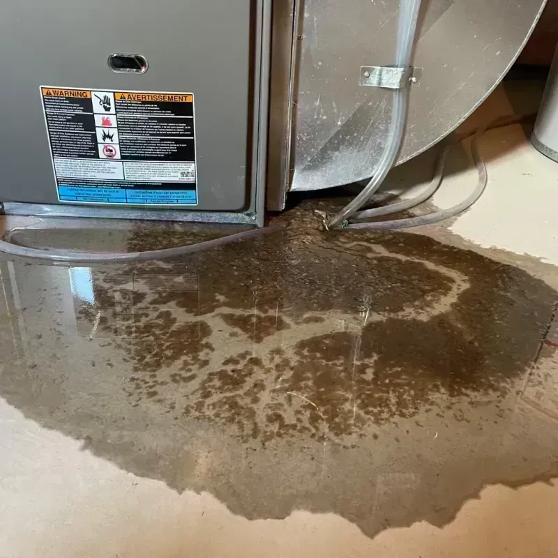 Appliance Leak Cleanup in McLeod County, MN